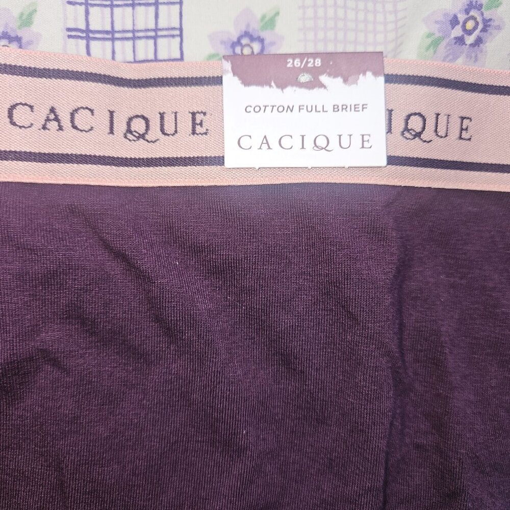 Cacique Women's Underwear 26/28